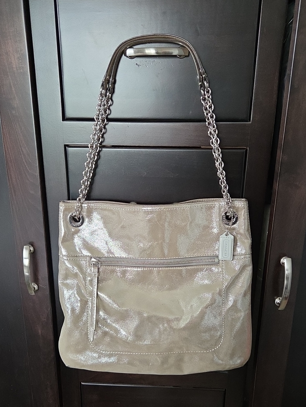 COACH Poppy Silver Metallic Leather Slim Tote Shoulder Bag 21199 Y2K